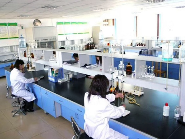 化验室 (2)